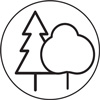 Forestry wood