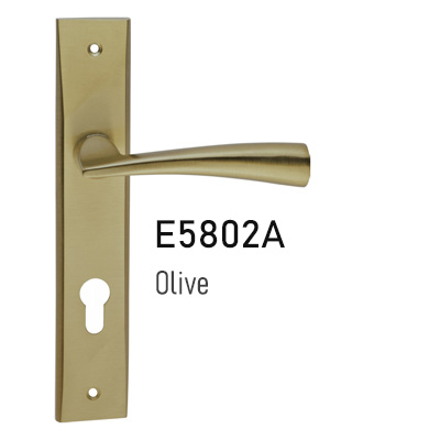 E5802A-Olive-Behrizan-Icon-01