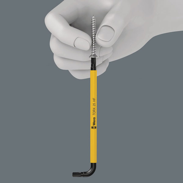 Holding function for recessed TORX&reg; screws
