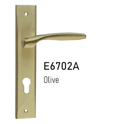 E6702A-Olive-Behrizan-Icon-01